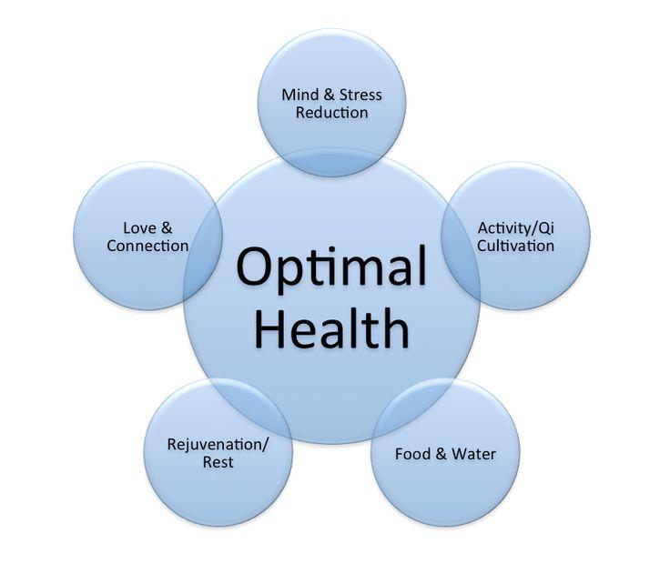 - Navigating the Path to Optimal Health with Specialized Products