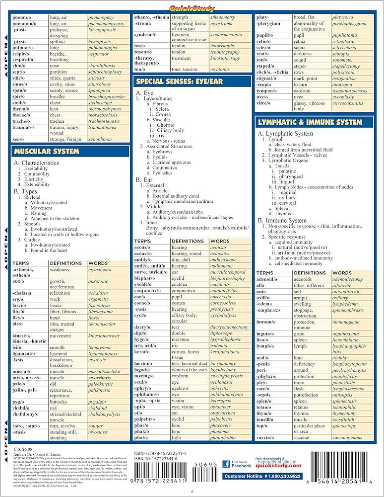 Unveiling the Intricacies of Medical Terminology