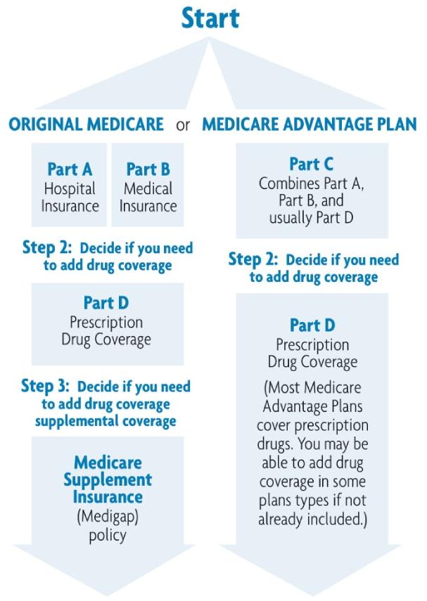 Comparing Different Types of Coverage Options