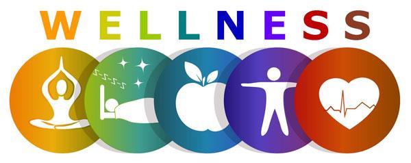 Exploring the Wellness Offerings at Health Zone Smithfield NC