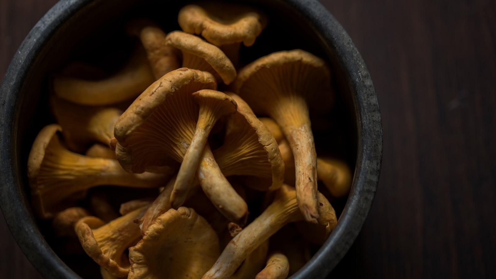 Incorporating Mushrooms into Your Diet: Delicious Recipes ‌and Cooking Tips