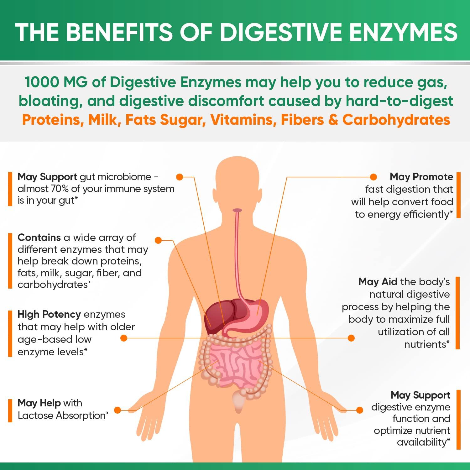 Exploring the Digestive​ Benefits for‍ Improved Gut ⁢Health