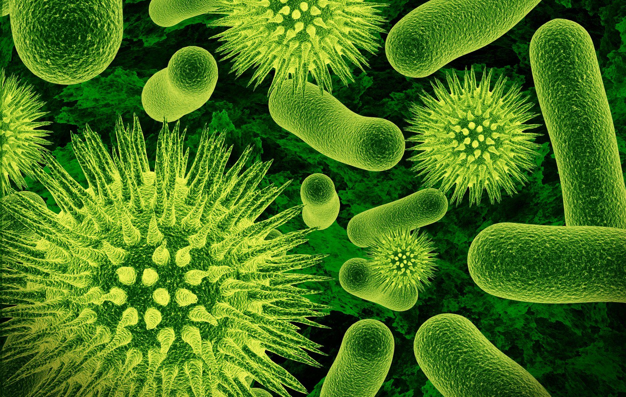 Harnessing​ the Antimicrobial Properties for Enhanced Immunity