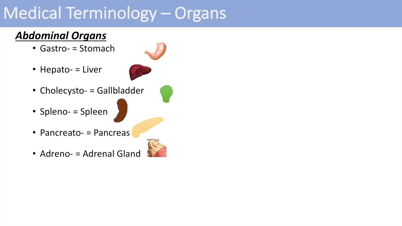 Navigating Health Terminology: A Guide to Choosing the Right Words